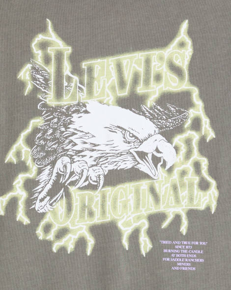 Футболка чоловіча Levi's 1159857450 (Сірий XL)