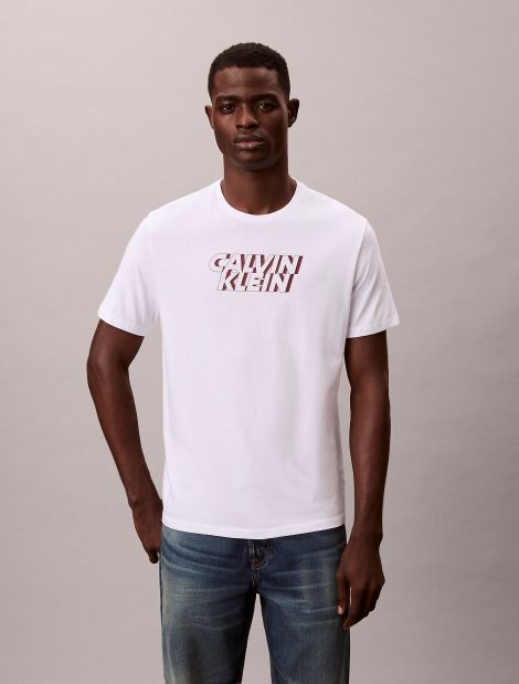 Чоловічі футболки з логотипом Calvin Klein 1159858257 (Білий XXL)