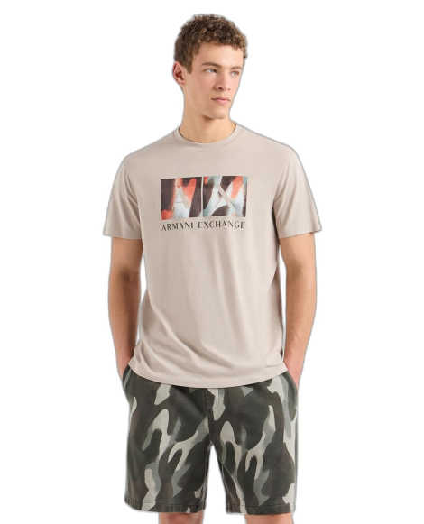 Чоловічі футболки Armani Exchange з принтом 1159859513 (Бежевий XXL)
