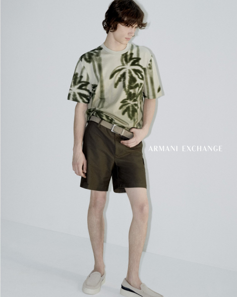 Футболка Armani Exchange з принтом 1159859786 (Сірий/Зелений XL)