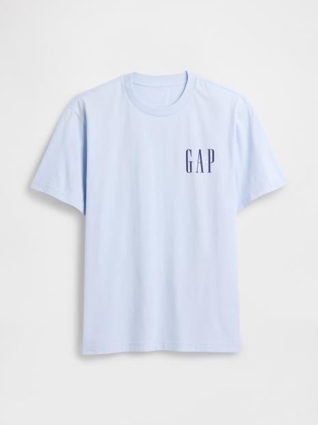 Мужская футболка GAP с принтом 1159860053 (Голубой XXL)