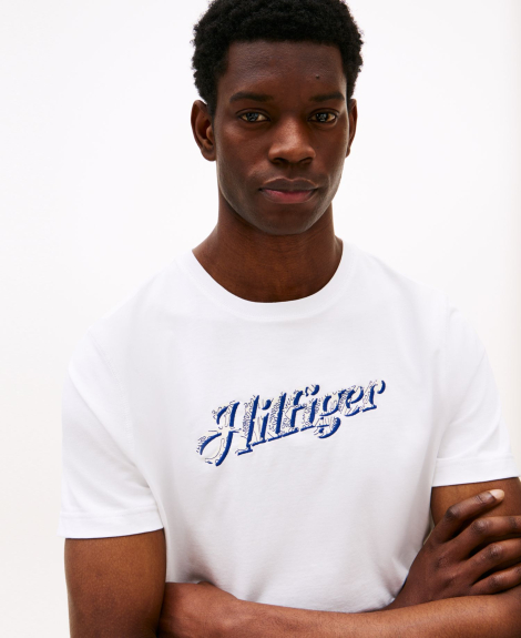Мужская футболка Tommy Hilfiger с логотипом 1159861065 (Белый L)