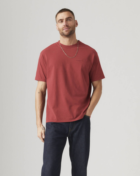 Футболка мужская Levi's с логотипом 1159862668 (Красный M)