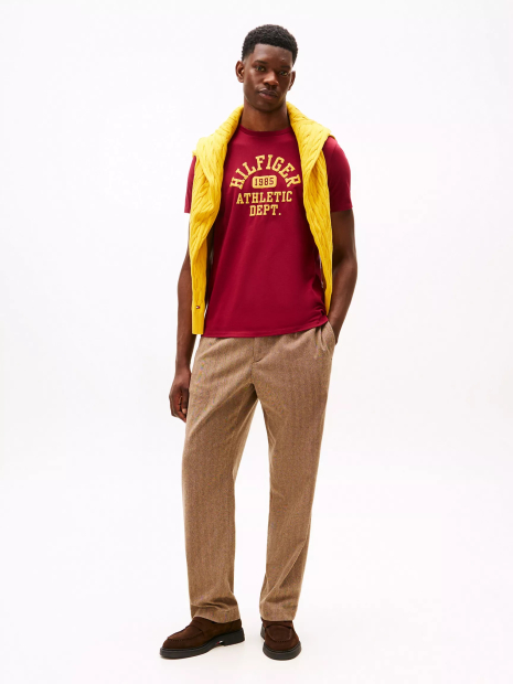 Мужская футболка Tommy Hilfiger с логотипом 1159862830 (Бордовый M)