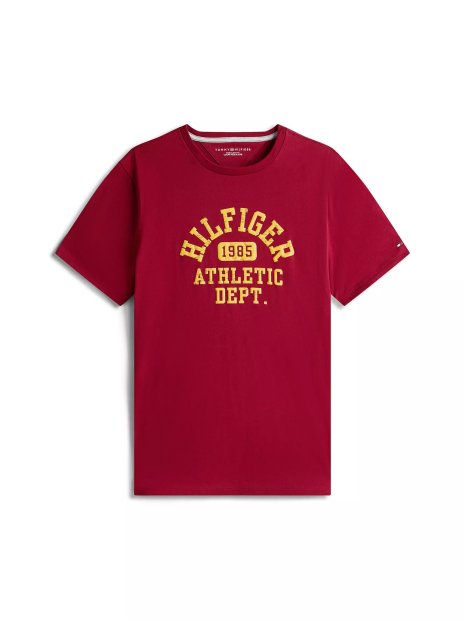 Мужская футболка Tommy Hilfiger с логотипом 1159862843 (Бордовый L)