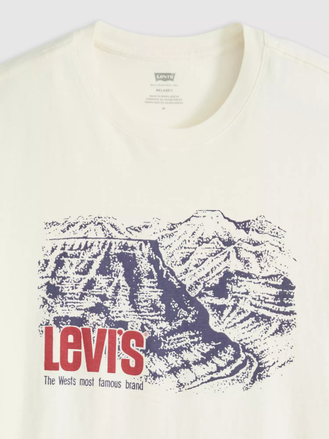 Футболка мужская Levi's с принтом 1159863254 (Молочный L)