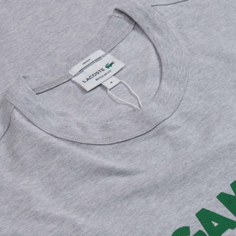 Футболка Lacoste с логотипом 1159863649 (Серый XXL)