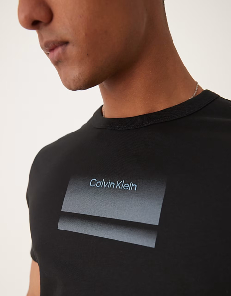 Мужская футболка Calvin Klein с логотипом 1159864341 (Черный XL)