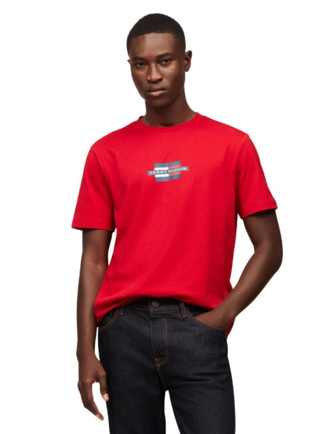 Мужская футболка Tommy Hilfiger с логотипом 1159864707 (Красный S)