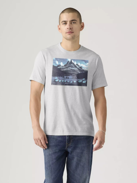 Футболка чоловіча Levi's з принтом 1159865473 (Сірий XL)