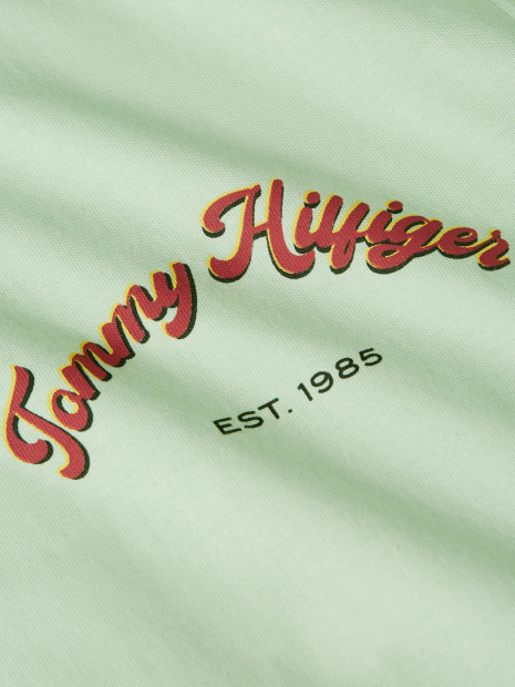 Мужская футболка Tommy Hilfiger с принтом 1160162145 (Зеленый L)