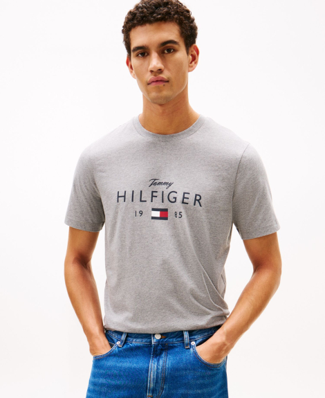 Мужская футболка Tommy Hilfiger с логотипом 1160781960 (Серый XS)