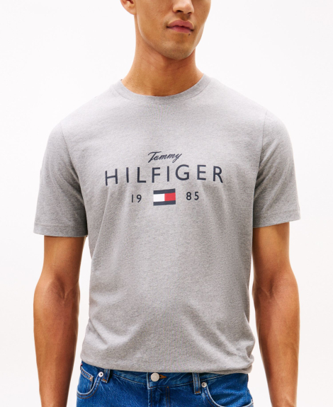Мужская футболка Tommy Hilfiger с логотипом 1160781960 (Серый XS)