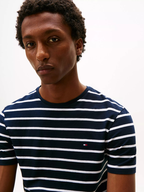 Мужская футболка Tommy Hilfiger 1160857869 (Синий/Белый L)