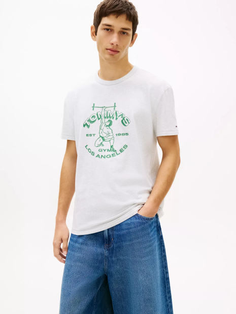 Мужская футболка Tommy Hilfiger 1160862137 (Серый XXL)