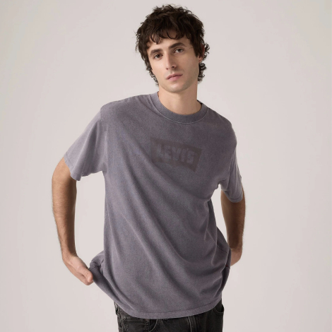 Футболка мужская Levi's с логотипом 1160887068 (Серый XL)