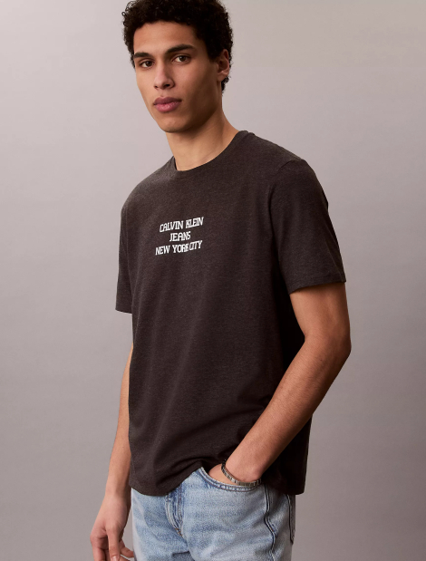 Мужская футболка Calvin Klein с принтом 1160911239 (Серый M)