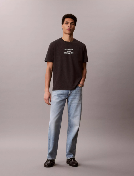 Мужская футболка Calvin Klein с принтом 1160911239 (Серый M)