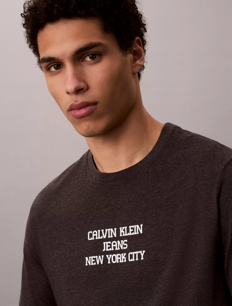 Мужская футболка Calvin Klein с принтом 1160911239 (Серый M)