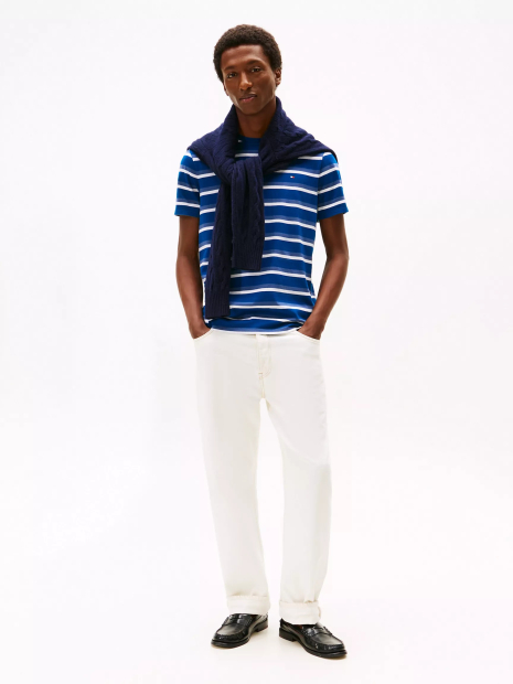 Мужская футболка Tommy Hilfiger в полоску 1161147202 (Синий/Белый M)