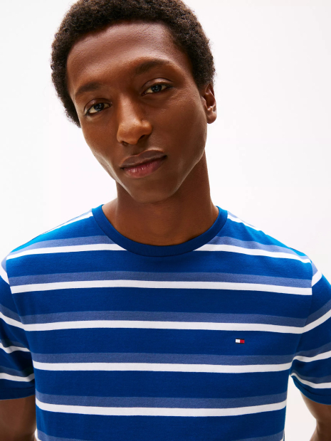 Мужская футболка Tommy Hilfiger в полоску 1161147202 (Синий/Белый M)