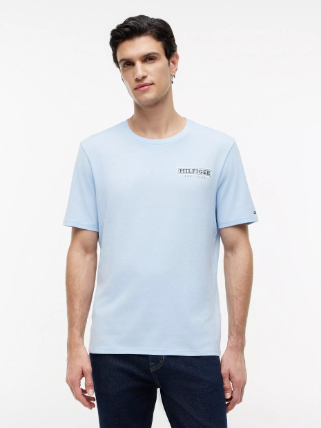 Мужская футболка Tommy Hilfiger с принтом 1161362559 (Голубой 3XL)