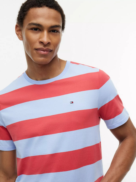 Мужская футболка Tommy Hilfiger в полоску 1161370321 (Разные цвета 3XL)