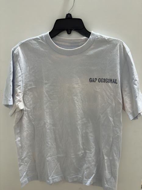 Мужская футболка GAP с принтом 1161426289 (Голубой S)