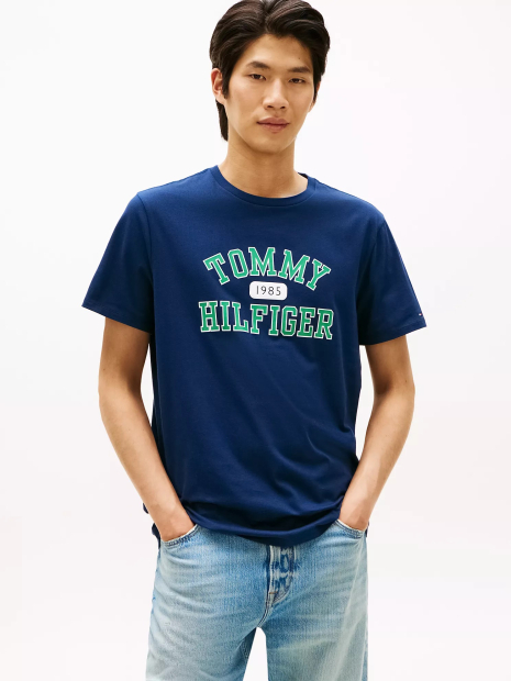 Мужская футболка Tommy Hilfiger 1161467681 (Синий M)