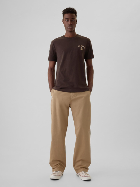 Мужская футболка GAP с логотипом 1161492458 (Коричневый XXL)