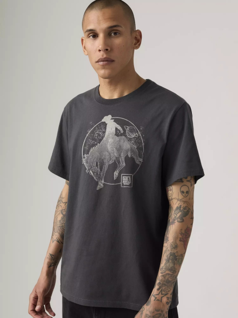 Футболка чоловіча Levi's з принтом 1161590567 (Сірий XXL)