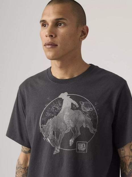 Футболка чоловіча Levi's з принтом 1161590567 (Сірий XXL)