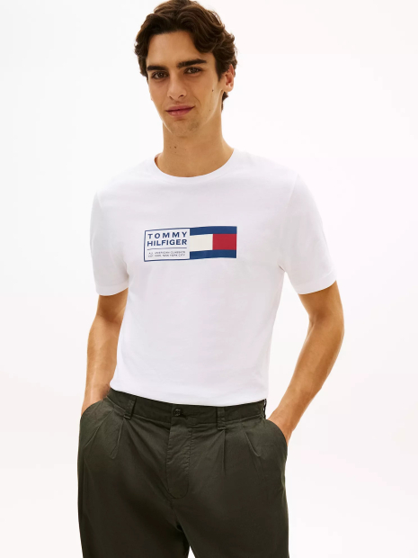Мужская футболка Tommy Hilfiger с логотипом 1161619340 (Белый M)