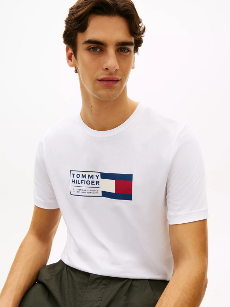 Мужская футболка Tommy Hilfiger с логотипом 1161619340 (Белый M)