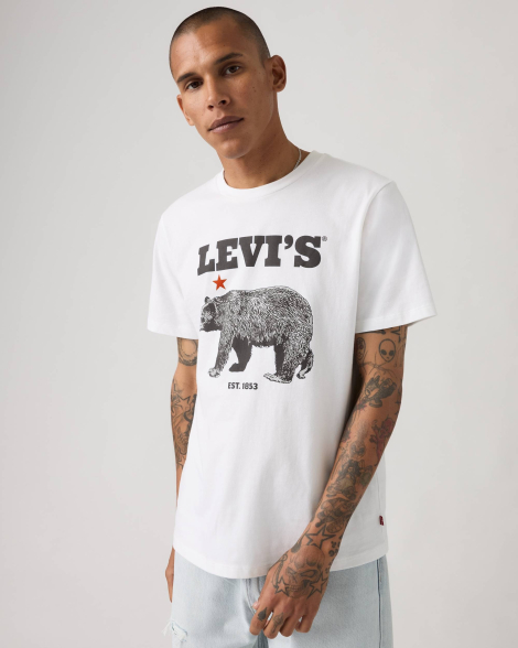 Мужская футболка Levi's с принтом 1161832651 (Белый XS)