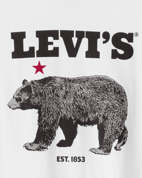 Мужская футболка Levi's с принтом 1161832651 (Белый XS)