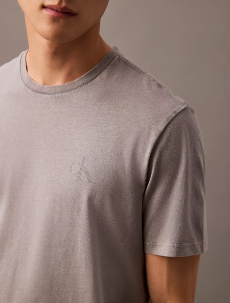 Мужская футболка Calvin Klein с логотипом 1162533476 (Серый XL)