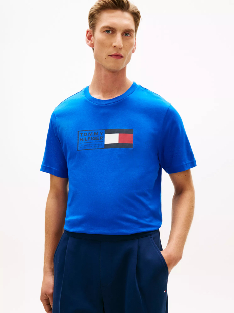 Мужская футболка Tommy Hilfiger с логотипом 1162569722 (Синий L)