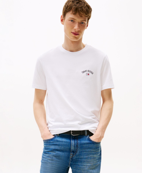 Мужская футболка Tommy Hilfiger с логотипом и принтом 1162590612 (Белый XL)
