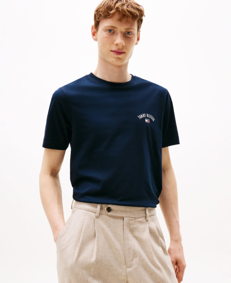 Мужская футболка Tommy Hilfiger с логотипом и принтом 1162591542 (Синий M)