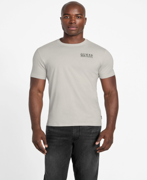 Мужская футболка Guess с логотипом 1162656156 (Серый XL)