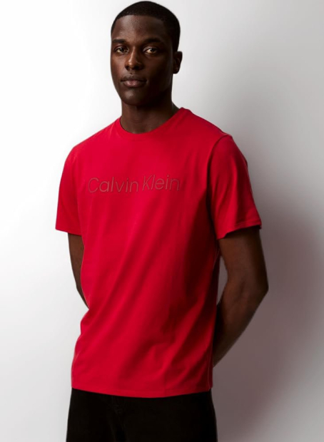 Мужская футболка Calvin Klein с логотипом 1162976589 (Красный M)