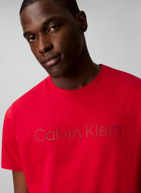 Мужская футболка Calvin Klein с логотипом 1162976589 (Красный M)