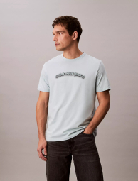 Мужская футболка Calvin Klein с логотипом 1159840290 (Голубой XL)