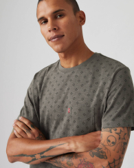 Футболка мужская Levi's с принтом 1159840736 (Серый M)