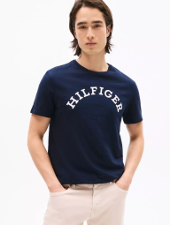 Мужская футболка Tommy Hilfiger 1159840752 (Синий M)