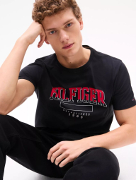 Мужская футболка Tommy Hilfiger 1159840760 (Черный M)