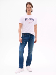 Мужская футболка Tommy Hilfiger 1159840766 (Белый M)