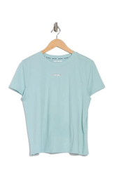 Жіноча футболка DKNY з логотипом 1159842189 (Блакитний S)