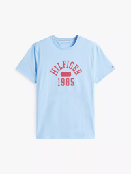 Футболка Tommy Hilfiger с логотипом 1159845273 (Голубой XXL)